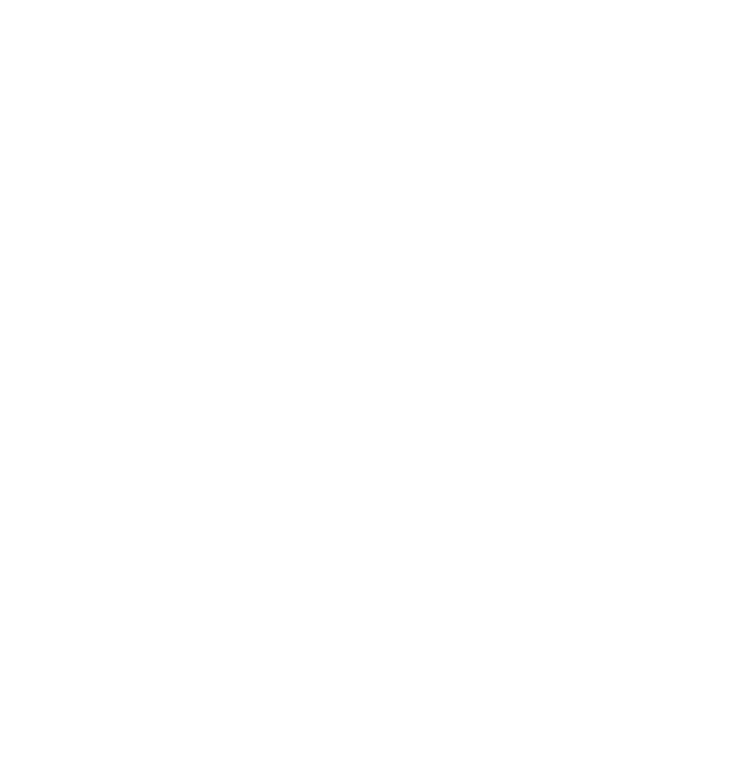 DUAL CORE INC.